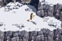Tomb Raider: The prophecy - Immagine 2