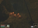The Elder Scrolls: Morrowind - Immagine 35