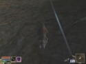 The Elder Scrolls: Morrowind - Immagine 44