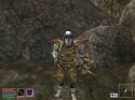The Elder Scrolls: Morrowind - Immagine 48