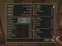 The Elder Scrolls: Morrowind - Immagine 8