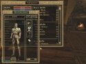 The Elder Scrolls: Morrowind - Immagine 9