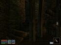 The Elder Scrolls: Morrowind - Immagine 7