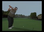 Tiger Woods 2004 - Immagine 4