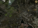 Vietcong - Immagine 9