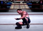 WWE Smackdown ! Here Comes the Pain - Immagine 5