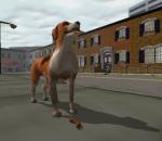 Dog's Life - Immagine 8