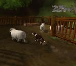 Dog's Life - Immagine 10