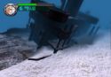 Everblue 2 - Immagine 1