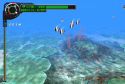 Everblue 2 - Immagine 11