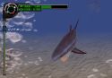 Everblue 2 - Immagine 13