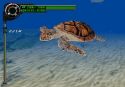 Everblue 2 - Immagine 14