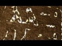 Amenophis  La Resurrezione - Immagine 1