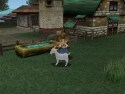 Harvest Moon:  A Wonderful Life! - Immagine 11