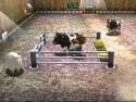 Harvest Moon:  A Wonderful Life! - Immagine 6
