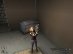 The Fall Of Max Payne - Immagine 9