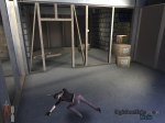The Fall Of Max Payne - Immagine 10