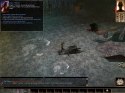 Neverwinter Nights  Shadows of Undrentide - Immagine 16