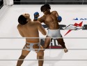 Pride: fighting championship - Immagine 10