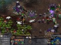 Battle realms: Winter Of The Wolf - Immagine 18