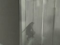 Splinter Cell - Immagine 5
