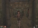 The Elder Scrolls III - Bloodmoon - Immagine 12