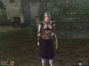 The Elder Scrolls III - Bloodmoon - Immagine 7
