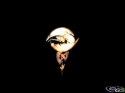Broken Sword 3 - Immagine 16