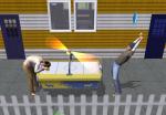 The Sims : Fuori Tutti - Immagine 3
