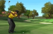 Tiger Woods 2005 - Immagine 4