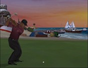Tiger Woods 2005 - Immagine 7
