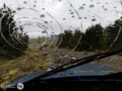 World Rally Championship 4 (2008) - Immagine 4