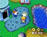 Animal Crossing - Immagine 5