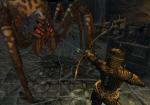 Champions of Norrath - Immagine 28