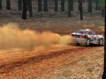 Colin McRae Rally 2005 - Immagine 14