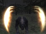 Final Fantasy XI - Immagine 12