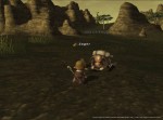 Final Fantasy XI - Immagine 15