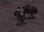 Final Fantasy XI - Immagine 16