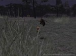 Final Fantasy XI - Immagine 7