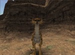 Final Fantasy XI - Immagine 8