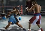 Fight Night 2004 - Immagine 8