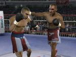 Fight Night 2004 - Immagine 10