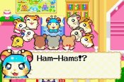 Hamtaro: Rainbow Rescue - Immagine 2