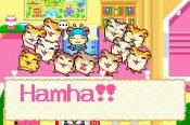Hamtaro: Rainbow Rescue - Immagine 5
