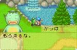 Harvest Moon: Friends of Mineral Town - Immagine 12