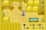 Harvest Moon: Friends of Mineral Town - Immagine 4