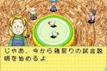 Harvest Moon: Friends of Mineral Town - Immagine 6