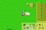 Harvest Moon: Friends of Mineral Town - Immagine 10