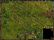 La Grande Guerra - Immagine 3