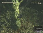 Metal Gear Solid 3: Snake Eater - Immagine 3